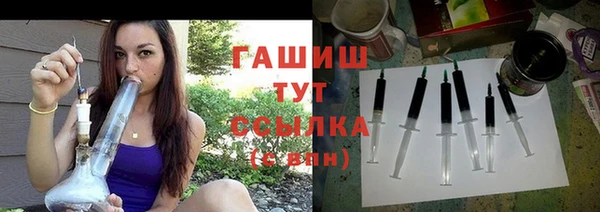 прущие грибы Михайлов