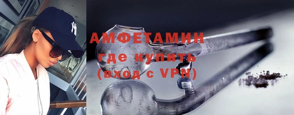 прущие грибы Михайлов