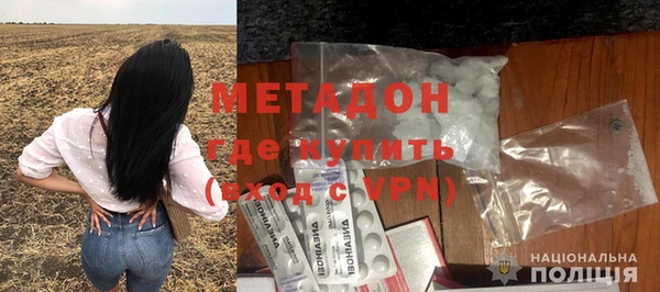 прущие грибы Михайлов