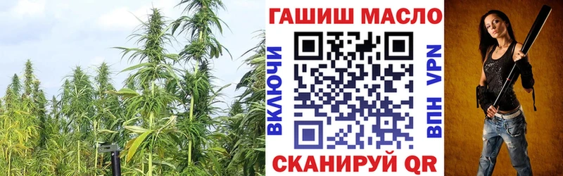 Дистиллят ТГК Wax  где купить наркоту  Михайловск 
